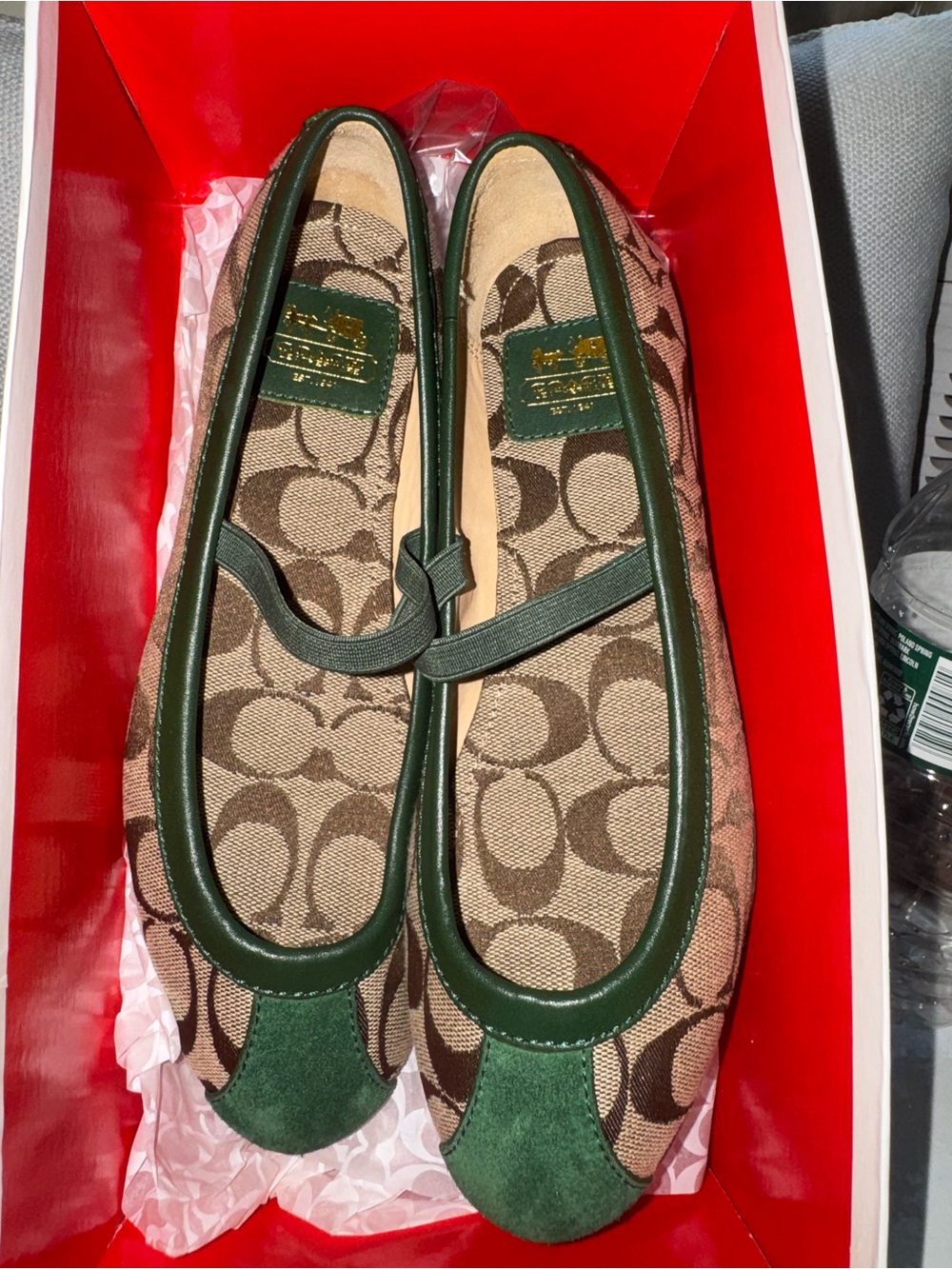 Coach Signature Canvas Ballet Flats in Green and Brown